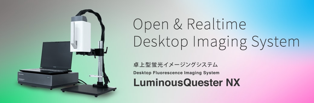 卓上型蛍光イメージングシステム LuminousQuester NX
