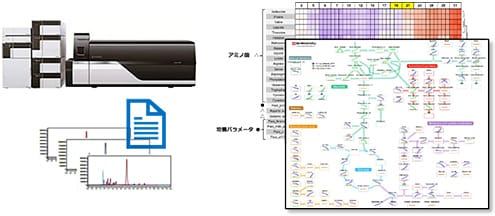 メタボロミクス解析による細胞培養状態の可視化