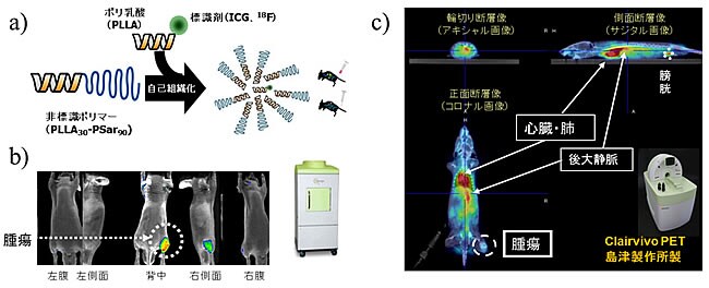 図2 皮下移植腫瘍へのラクトソームTM(AB型)の集積 (a:標識方法 , b: in vivo蛍光画像(投与後24時間), c: 18F-PET/CT画像(投与後3時間))
