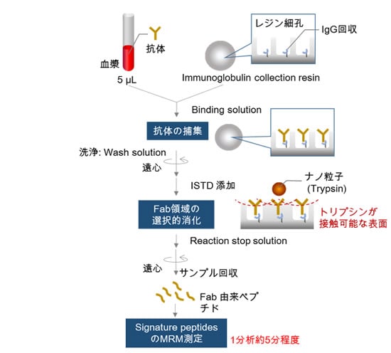 nSMOL Antibody BA Kitのワークフロー