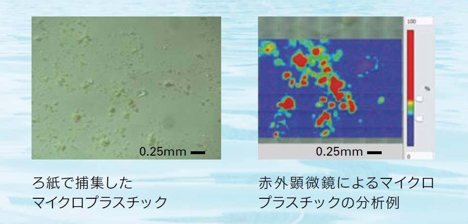 マイクロプラスチック問題の実態解明に貢献