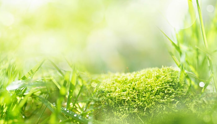 環境保全に科学で挑む サステナブルな社会のために