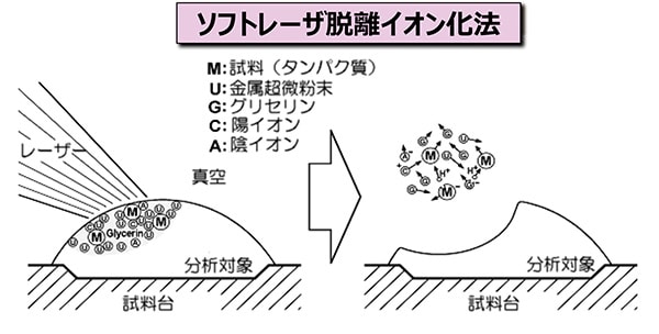 ソフトレーザー脱離イオン化法