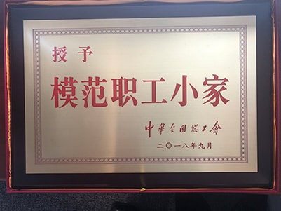 全国模範労働者の企業、上海市でパイオニア労働者が働く企業