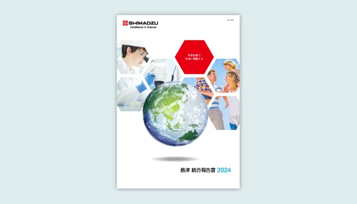 統合報告書