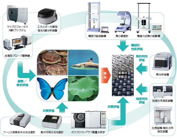 バイオミメティクスを用いた研究開発と実用化に関わる分析計測機器の例