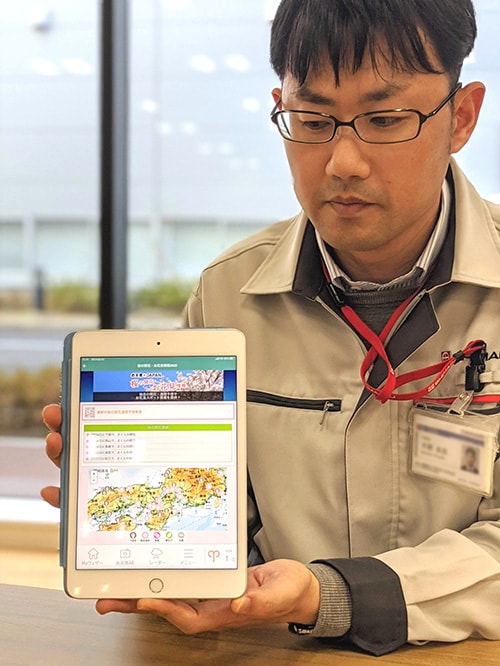 タブレットでも開花予想を閲覧