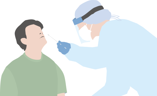 検体採取のイメージ 鼻咽頭の粘膜