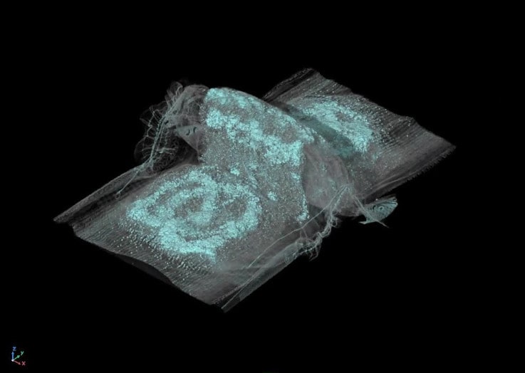 CTシステムで紙おむつ内の吸水材の状態を可視化