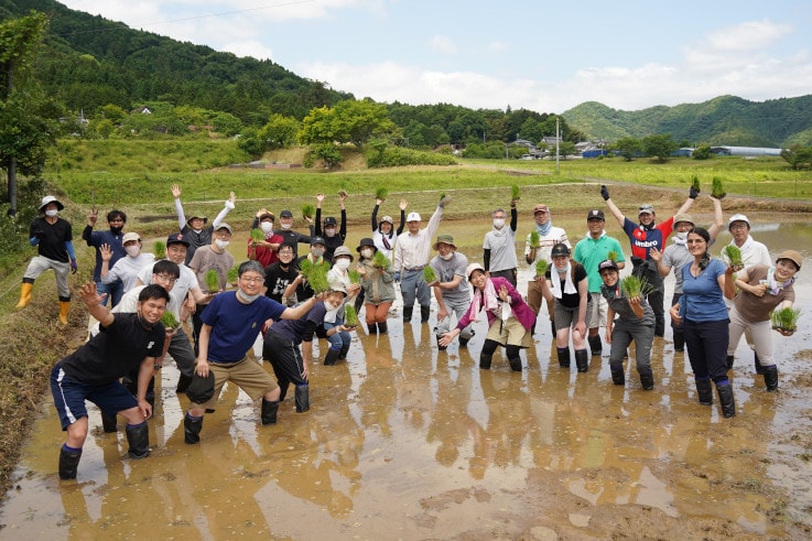 「島津オリジナル日本酒づくり活動」田植え体験