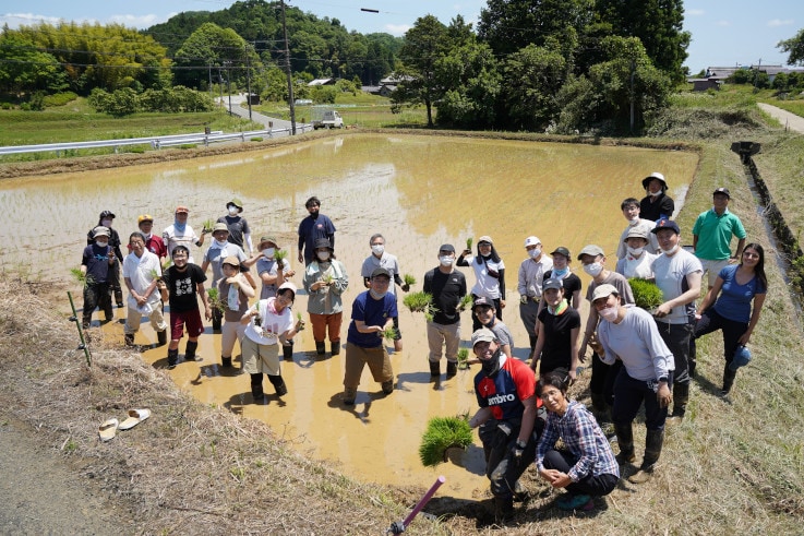 「島津オリジナル日本酒づくり活動」田植え体験での集合写真