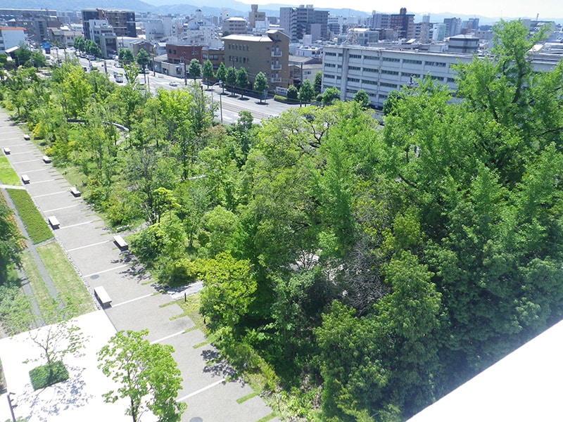 本社・三条工場の敷地内にある「島津の森」