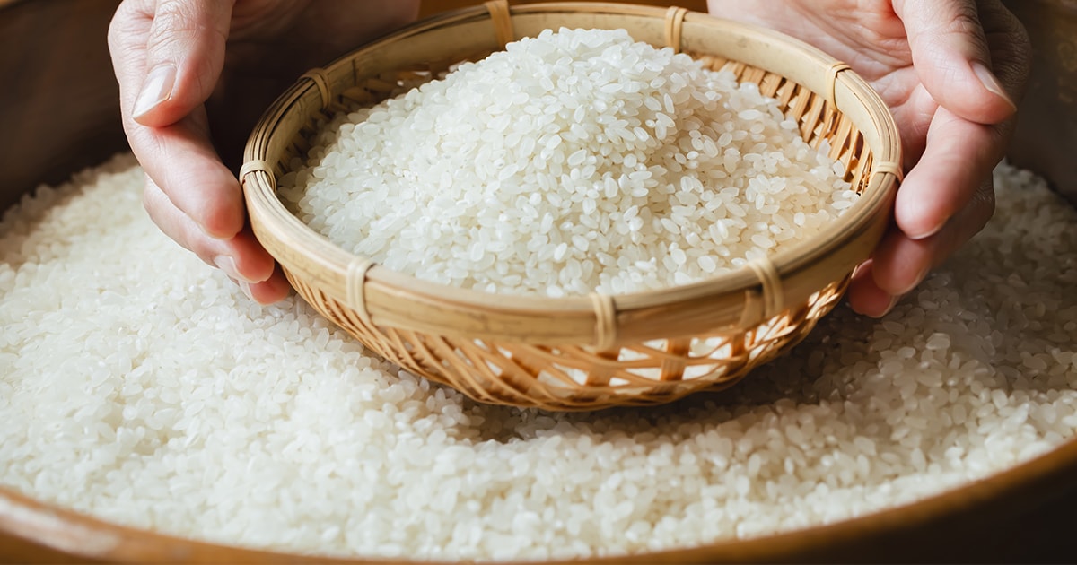 新米の季節到来！米の美味しさは「光」で測る | SHIMADZU TODAY | 島津