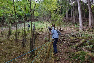 シカ避けネットの撤去の様子