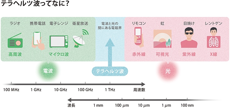 テラヘルツ光ってなに？