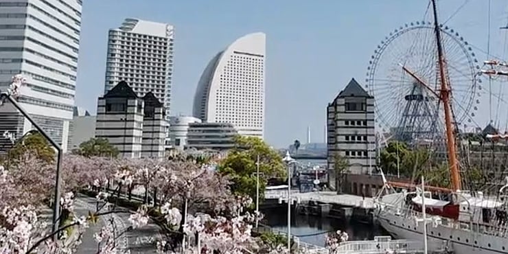 会場となったパシフィコ横浜周辺
