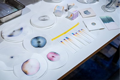 分離分析の基礎であるペーパークロマトグラフィー（紙と水でインクを分ける手法）を実施した様子