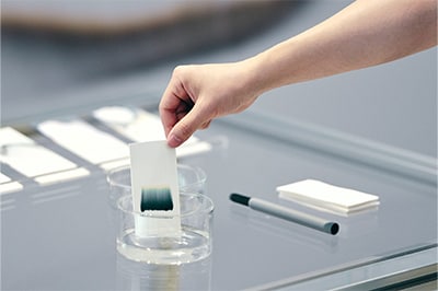 「Chromatography」セラミックのプレートの上で、分離したペンのインクが模様を描く